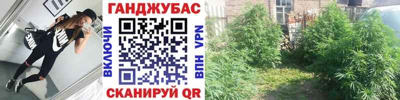 Купить закладки Николаевск-на-Амуре Бошки марихуана AK-47